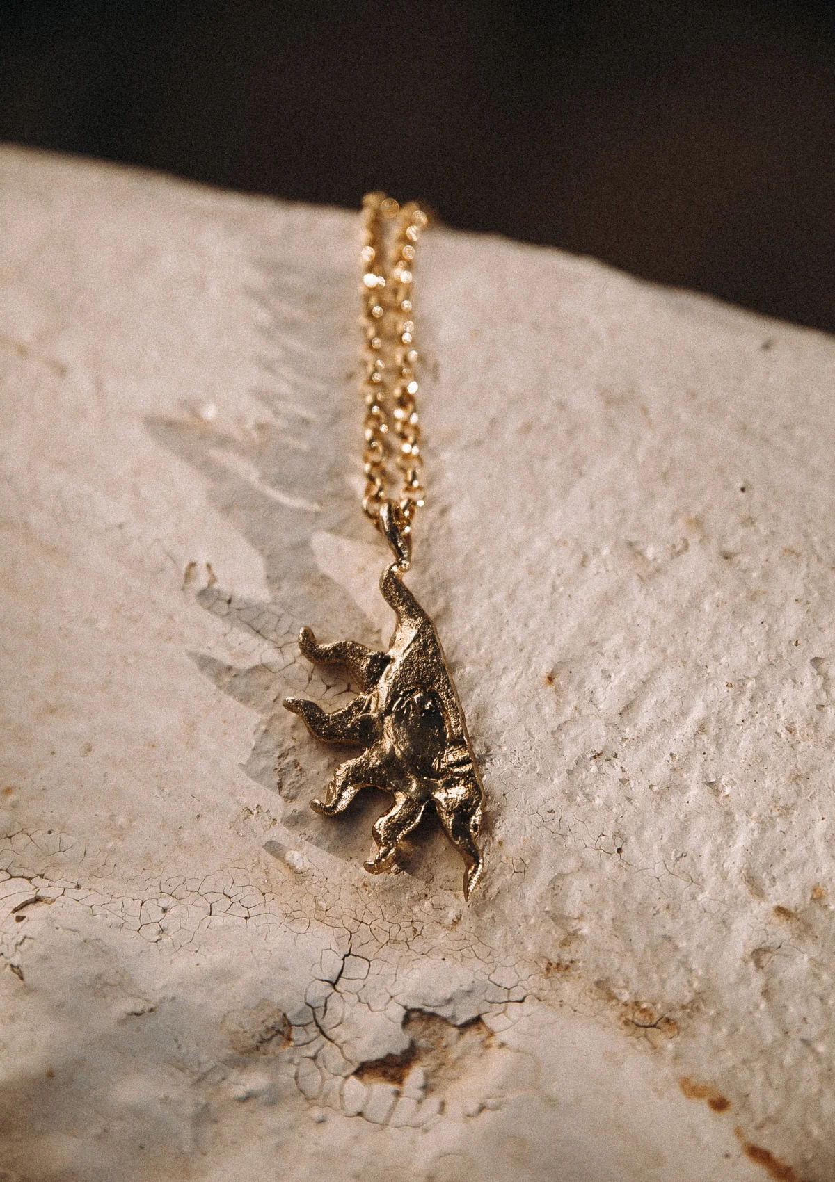 Chain 3.90mm 50 cm - Silver Gold Plated - Image 4